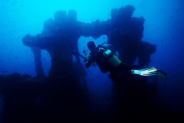 포토 JPG 해외이미지 야생동물 스포츠 바다 여행 백그라운드 자연 휴가 휴식 어류 안전 사람 취미 사람없음 물 파란색 카메라 환경 수중 탐험 잠수부 모험가 사진사 다이빙 함선 지느러미 암초 잠수복 깊이 조난 해외202309 해외포토 자연요소 동물 옷 컬러 컨셉 배_교통 전자제품 수영 수중동물 전문직 작가 생태계 수중스포츠 파일형식