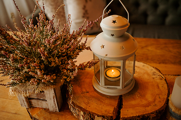 포토 JPG 해외이미지 식물 라이프스타일 디자인 계절 꽃 분홍색 꽃다발 꽃무늬 자연 탁자 휴가 주택 사람없음 내부 목재 장식 정원 보라색 낭만 수확 벚꽃 흰색 시골 신선 냄비 저녁 원예 매움 리빙 내추럴 연소 스타일 해외202309 해외포토 나무 컬러 가구 컨셉 무늬 농업 재료 취미 건물 생활 맛 솥 야간 생태계 파일형식