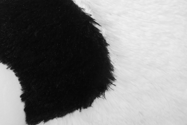 포토 JPG 해외이미지 동물 디자인 종이 야생동물 백그라운드 패턴 곰 포유류 자연 벽지 추상 털 흑백 동양인 사람없음 그래픽 장식 빛 우주 검은색 중국 어둠 흰색 판다 모피 묘사 오브젝트 질감 부드러움 솜털 내추럴 카피스페이스 해외202309 해외포토 아시아 컬러 무늬 촬영기법 인종 공백 감각 생태계 파일형식