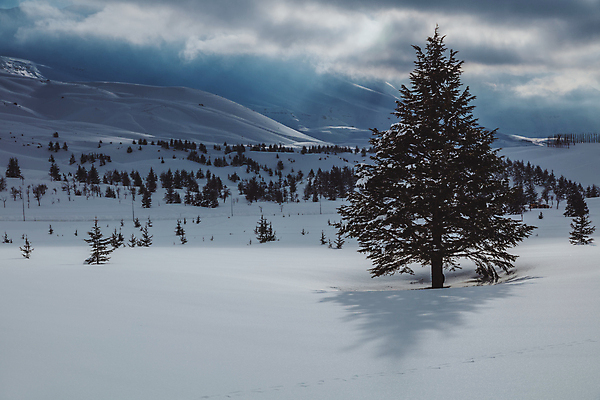 포토 JPG 해외이미지 나무 계절 여행 백그라운드 크리스마스 겨울 자연 하늘 스키 산 파노라마 풍경 사람없음 야외 파란색 뷰티 환경 계곡 맑음 얼음 추위 덮개 흰색 소나무 언덕 휴양지 내추럴 눈내림 해외202309 해외포토 자연요소 식물 기념일 컬러 날씨 겨울스포츠 눈_날씨 촬영기법 장소 뚜껑 생태계 파일형식