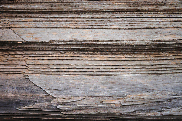 포토 JPG 해외이미지 디자인 벽 백그라운드 패턴 자연 벽지 표면 추상 사람없음 야외 목재 장식 갈색 시골 널 목수 질감 잡동사니 내추럴 수목 옛날 나무배경 해외202309 해외포토 나무 직업 컬러 무늬 재료 생태계 파일형식