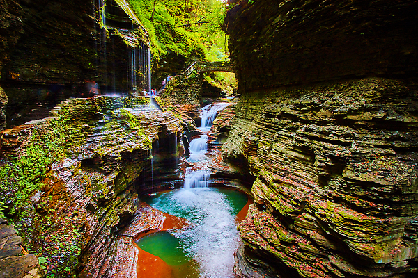 포토 JPG 해외이미지 나무 계절 공원 길 여행 자국 모션 자연 산 이끼 사람없음 야외 물 강 컬러풀 환경 골짜기 봄 폭포 하이킹 흐름 개울 숲 뉴욕 아스파라거스 내추럴 해외202309 해외포토 자연요소 식물 공공시설 컬러 컨셉 채소 레저 미국 생태계 파일형식