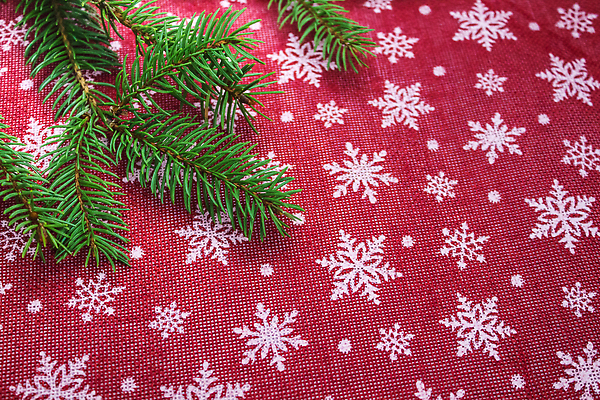 포토 JPG 해외이미지 나무 템플릿 디자인 배너 계절 행복 별 백그라운드 크리스마스장식 크리스마스 겨울 공 휴가 새해 프레임 선물 사람없음 장식 빨간색 초록색 선물상자 상자 장난감 축제 장식볼 수확 나뭇가지 축하 인사 소나무 신용카드 눈송이 플랫 정상 12월 연도 책상 레이아웃 전나무 노엘 헤딩 가문비나무 플랫레이 카피스페이스 크리스마스배경 해외202309 해외포토 자연요소 식물 기념일 감정 컬러 가구 컨셉 농업 눈_날씨 금융 축구 공백 예절 날짜 파일형식