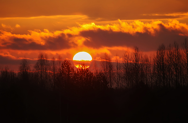 포토 JPG 해외이미지 식물 구름 계절 분홍색 컬러 여행 백그라운드 자연 하늘 아침 날씨 추상 휴가 파노라마 풍경 사람없음 야외 초록색 여름 파란색 빛 햇빛 태양 뷰티 노란색 일출 환경 맑음 침묵 황혼 일몰 봄 새벽 가을 분위기 저녁 숲 땅 장면 내추럴 강렬 생태학 폭풍우 해외202309 해외포토 주간 자연요소 교육 컨셉 무늬 촬영기법 노을 소리 비_날씨 야간 자연재해 생태계 파일형식