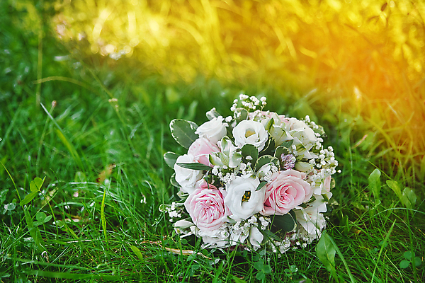 포토 JPG 해외이미지 손 커플 드레스 여자 꽃 행복 분홍색 꽃다발 결혼 백그라운드 꽃무늬 자연 결혼식 함께함 사랑 사람 이벤트 사람없음 장식 초록색 뷰티 장미 유행 낭만 벚꽃 흰색 축하 잡기 고급 우아함 다발 배열 묘사 약혼 스타일 해외202309 해외포토 식물 옷 감정 컬러 컨셉 무늬 관계 모션 신체부위 생태계 약속 파일형식