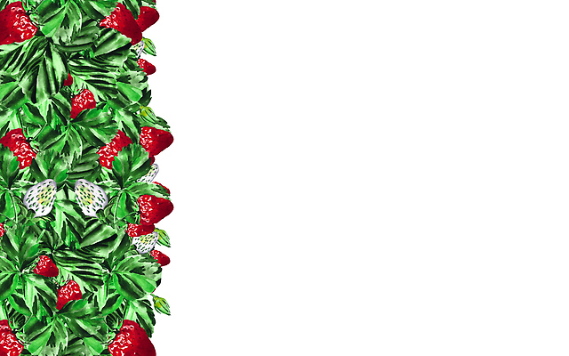 포토 JPG 해외이미지 클립아트 식물 디자인 배너 열매 꽃잎 꽃 꽃무늬 일러스트 자연 딸기 수채화 부활절 주택 미술 사람없음 목재 그래픽 장식 쇼핑 갈색 바구니 나뭇가지 컨테이너 스케치 수집 그림 에코 질감 손그림 수납 밀짚 고립 동물상 등나무 스크랩북 엮은 핸드메이드 해외202309 해외일러스트 나무 기념일 산업 컬러 무늬 과일 재료 문화예술 건물 조형물 환경 짚 생태계 파일형식