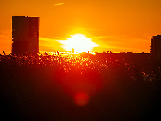 포토 JPG 해외이미지 남자 실루엣 분홍색 컬러 과학 항해 건강 사람없음 그래픽 가로 햇빛 노란색 평화 우주 희망 새벽 별자리 기쁨 광선 달 표현 춤 그룹 황금 떨어짐 군중 신비 달빛 명상 코스모스 은하계 해군 공상 천문학 마법 스카이라인 네비게이션 성운 광 넘어짐 해외202309 해외포토 자연요소 교육 꽃 감정 컨셉 배_교통 모션 문화예술 군대 촬영기법 사람 태양 파일형식
