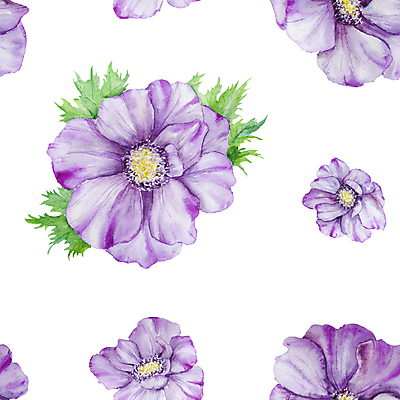 JPG 해외이미지 잎 패턴 일러스트 사람없음 장식 보라색 우아함 아네모네 엘리먼트 해외202309 해외일러스트 식물 꽃 컬러 컨셉 무늬 파일형식