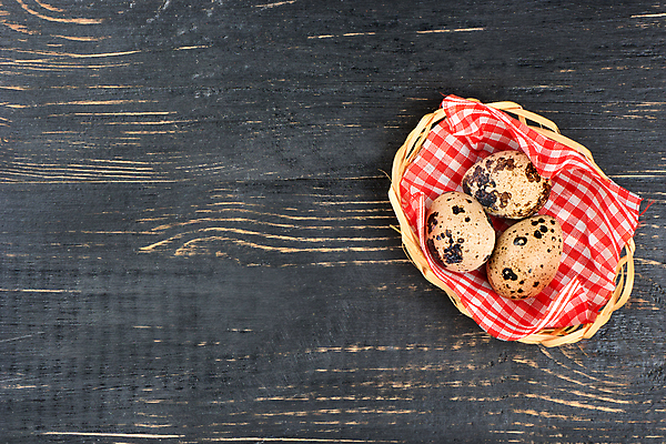 포토 JPG 해외이미지 동물 음식 백그라운드 다이어트 재료 자연 탁자 조류 부활절 건강 사람없음 목재 수건 갈색 바구니 계란 껍질 흰색 신선 점 얼룩 아침식사 상품 작음 먹기 오브젝트 유기농 날것 밀짚 내추럴 단백질 메추리 생식 식품점 해외202309 해외포토 나무 웰빙 기념일 컬러 가구 모션 위생용품 상점 알 식사 짚 크기 생태계 영양소 파일형식