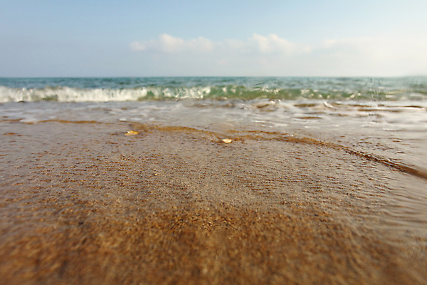 포토 JPG 해외이미지 모래 파도 바다 백그라운드 이동 모션 자연 조류 하늘 추상 휴가 휴식 따뜻함 사람없음 야외 물 모래사장 뷰티 갈색 맑음 거품 젖음 흐름 흰색 물방울 플랫 닫기 소프트포커스 작음 묘사 만족 질감 각도 내추럴 땅바닥 수평선 해외202309 해외포토 자연요소 동물 감정 컬러 컨셉 무늬 날씨 바닥 촬영기법 크기 생태계 파일형식