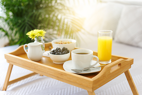 포토 JPG 해외이미지 꽃 커피 음료 음식 오렌지 과일 침구 호텔 아침 휴가 휴식 주택 쟁반 손바닥 사람없음 내부 컵 햇빛 유행 식사 주스 침실 방 낭만 우유 머그컵 흰색 침대 신선 뜨거움 고급 차 아침식사 담요 먹기 서비스 휴양지 주말 오트밀 정물화 안락 해외202309 해외포토 주간 식물 식기 손 컬러 가구 컨셉 모션 숙소 유제품 건물 태양 장소 그림 파일형식 귀리