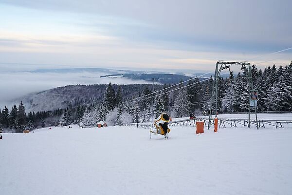 포토 JPG 해외이미지 나무 웰빙 계절 공원 컬러 여행 크리스마스 동화 날씨 휴가 풍경 경사 사람없음 빛 햇빛 환경 냉동 놀람 백발 숲 서리 마법 공학 내추럴 생태학 슬라이드 절정 환상 수평선 겨울풍경 해외202309 해외포토 식물 헤어스타일 공공시설 교육 기념일 감정 컨셉 겨울 표정 태양 파일형식