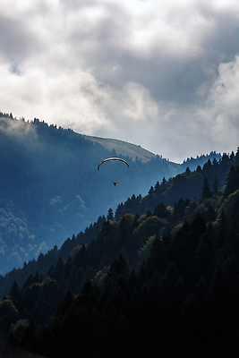 포토 JPG 해외이미지 공원 호수 스포츠 여행 포즈 자연 하늘 휴가 산 파노라마 사람없음 야외 물 평화 마을 환경 침묵 자유 비행 숲 그네 낙하산 칠면조 내추럴 글라이더 해외202309 해외포토 자연요소 공공시설 컨셉 조류 촬영기법 소리 생태계 파일형식