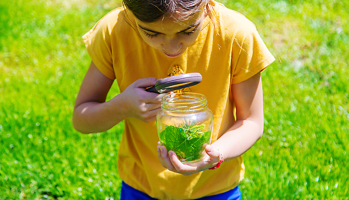 포토 JPG 해외이미지 여자 어린이 자연 돋보기 유리병 한명 들기 상반신 야외 관찰 소녀한명만 해외포토 1 모션 병_용기 사람 생태계 여자한명만 소녀만 파일형식