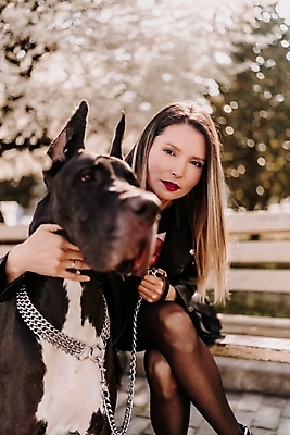 포토 JPG 해외이미지 전신 한마리 공원 여자 반려견 벤치 한명 앉기 성인 야외 앞모습 산책 잡기 대형견 목줄 성인여자한명만 그레이트덴 해외202309 해외포토 1 공공시설 뷰포인트 의자 모션 휴식 사람 반려동물 개 여자한명만 성인여자만 파일형식 반려용품