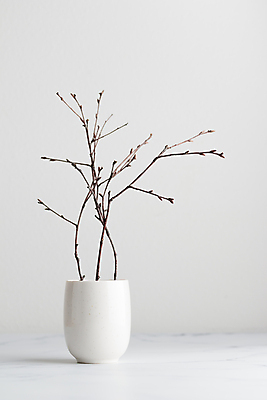 포토 JPG 해외이미지 나무 식물 꽃 꽃다발 자연 탁자 부활절 사람없음 장식 꽃병 봄 나뭇가지 냄비 해외202309 해외포토 계절 기념일 가구 솥 생태계 파일형식