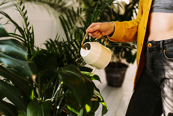 포토 JPG 해외이미지 식물 백인 1 여자 꽃 행복 잎 자연 주택 실내 한명 사람 성인 취미 야외 초록색 물 뷰티 정원 봄 성장 흰색 공구 신선 잡기 업무 캔 냄비 유기농 원예 내추럴 돌봄 땅바닥 물뿌리기 원예사 해외202309 해외포토 자연요소 서양인 직업 웰빙 계절 감정 컬러 모션 바닥 내부 건물 도구 작업 솥 생태계 파일형식