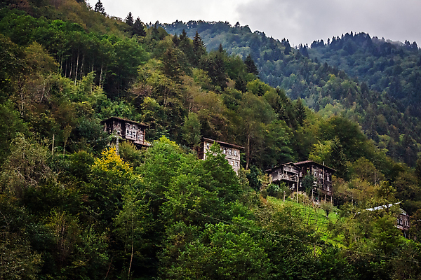 포토 JPG 해외이미지 나무 바다 여행 건축양식 자연 하늘 날씨 산 주택 풍경 사람없음 야외 건물 목재 가로 초록색 물 강 도시풍경 정원 계곡 검은색 바위 도시 개울 역사 숲 연결 폭풍 칠면조 옛날 튀르키예 해외202309 해외포토 자연요소 식물 건축물 건축 아시아 컬러 재료 조류 돌_바위 생태계 파일형식