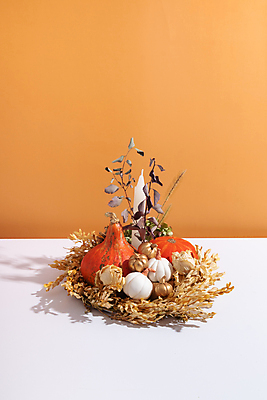 포토 JPG 해외이미지 식물 디자인 계절 백그라운드 컨셉 잎 꽃무늬 오렌지 자연 호박 사람없음 장식 세로 컬러풀 뷰티 농장 유행 수확 가을 흰색 신선 추수감사절 정물화 미니멀리스트 미니멀 해외202309 해외포토 꽃 기독교 컬러 무늬 농업 채소 과일 그림 생태계 파일형식