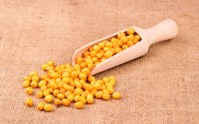 포토 JPG 해외이미지 식물 계절 열매 음식 컬러 백그라운드 오렌지 과일 재료 자연 건강 한명 농작물 약 노란색 신선 그룹 작음 먹기 허브 오브젝트 국자 상쾌 유기농 날것 숙성 해외202309 해외포토 1 웰빙 감정 농업 의학 모션 주방용품 사람 크기 생태계 파일형식