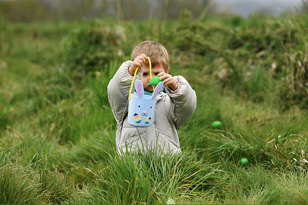 포토 JPG 해외이미지 전통 공원 행복 기독교 어린이 음식 가방 자연 놀이 부활절 기념 선물 한명 소년 잔디 초록색 바구니 정원 초콜릿 계란 축제 봄 모임 성장 게임 아기 토끼 악단 숲 4월 수집 검색 잔치 사냥 귀 발견 숨기 해외202309 해외포토 식물 1 잡화 계절 공공시설 기념일 남자 감정 종교 음악 컬러 포유류 모션 디저트 사람 신체부위 반려동물 알 날짜 생태계 파일형식