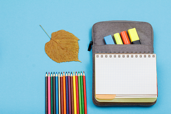 포토 JPG 해외이미지 잎 문구용품 색연필 사람없음 스터디 연필 공책 공백 오브젝트 파란배경 파우치 해외202309 해외포토 식물 백그라운드 가방 학용품 파란색 학습 필기구 파일형식