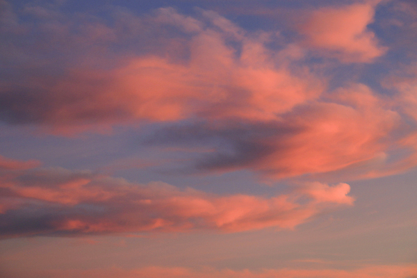 포토 JPG 해외이미지 나무 구름 분홍색 백그라운드 오렌지 자연 하늘 날씨 휴가 풍경 사람없음 야외 여름 빛 컬러풀 햇빛 태양 뷰티 노란색 환경 힘 황혼 일몰 놀람 새벽 활발 에너지 소나무 스페인 황금 야간 저녁 장면 공상 광 알리칸테 수평선 해외202309 해외포토 자연요소 식물 계절 감정 유럽 컬러 컨셉 과일 표정 노을 밤 생태계 파일형식
