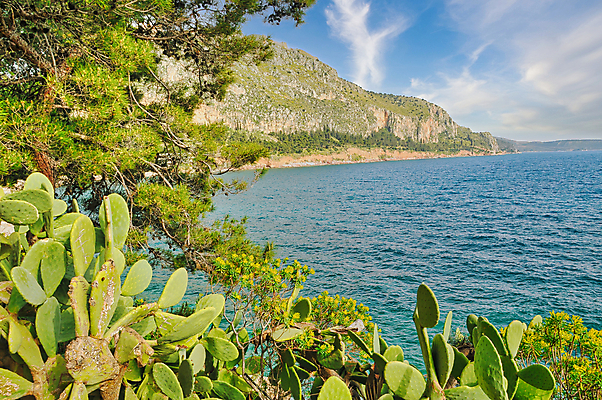 포토 JPG 해외이미지 나무 식물 바다 여행 자연 풍경 사람없음 초록색 도시풍경 도시 지중해 그리스 타운 그리스인 랜드마크 해외202309 해외포토 서양인 유럽 컬러 생태계 파일형식