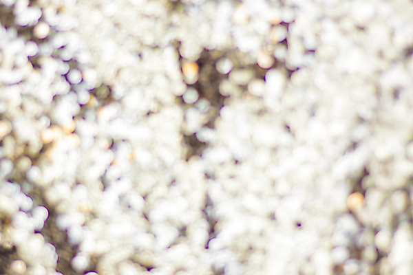 포토 JPG 해외이미지 디자인 컬러 백그라운드 크리스마스 패턴 하늘 추상 휴가 사람없음 장식 물 파란색 빛 반짝임 컬러풀 뷰티 우주 추위 흰색 신선 원형 황금 질감 부드러움 마법 노려봄 블러 효과 해외202309 해외포토 자연요소 도형 기념일 무늬 모션 표정 감각 파일형식