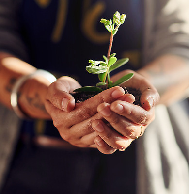 포토 JPG 해외이미지 손 들기 근접촬영 신체부위 새싹 자연보호 희망 흙 성장 손모으기 해외202309 해외포토 식물 감정 뷰포인트 모션 자연 사람 손짓 보호 파일형식