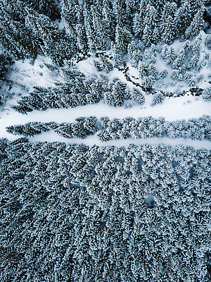 포토 JPG 해외이미지 나무 유럽 길 여행 겨울 자연 산 안테나 풍경 사람없음 야외 세로 빛 뷰티 추위 흰색 숲 서리 폴란드 항공촬영 슬로바키아 눈내림 해외202309 해외포토 식물 계절 나라 뷰포인트 컬러 통신 눈_날씨 생태계 파일형식