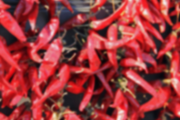 포토 JPG 해외이미지 식물 문화 음료 음식 컬러 여행 백그라운드 채소 재료 자연 고추 새로움 멕시코 주택 파프리카 건조 매달리기 건강 사람 인종 사람없음 건물 빨간색 초록색 주방 미국 침묵 활발 금지 신선 뜨거움 양념 그룹 가루 다발 향신료 오브젝트 싱글 유기농 날것 후추 온도 부족 숙성 해외202309 해외포토 건축물 웰빙 컨셉 북아메리카 모션 소리 생태계 향미료 파일형식