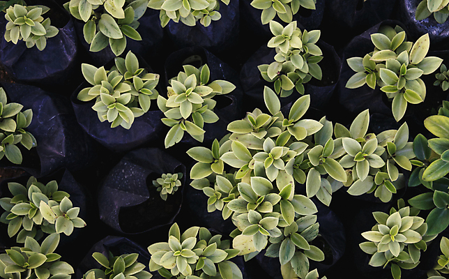 포토 JPG 해외이미지 기념일 포스터 결혼 일러스트 포장 벽지 사람없음 직물 신용카드 스크랩북 해외202309 해외포토 이벤트 금융 파일형식