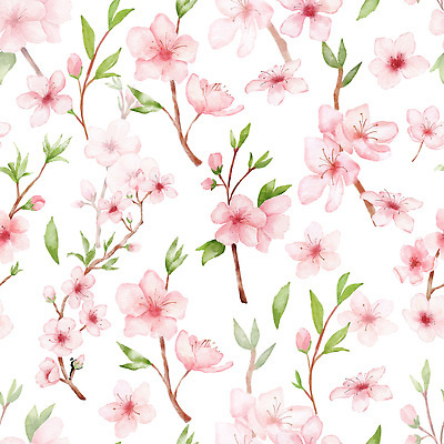 포토 JPG 해외이미지 나무 식물 손 디자인 꽃잎 꽃 분홍색 컬러 백그라운드 잎 꽃무늬 패턴 일러스트 자연 미술 동양인 사람없음 그래픽 장식 정원 일본 봄 낭만 벚꽃 흰색 나뭇가지 개화 체리 우아함 꽃집 심볼 그림 공상 고립 몽환 해외202309 해외일러스트 계절 아시아 컨셉 무늬 과일 문화예술 인종 신체부위 상점 생태계 파일형식