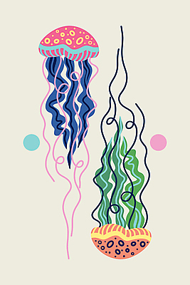 JPG 해외이미지 포스터 선 백그라운드 무늬 일러스트 추상 사람없음 컬러풀 그림 기하학 해파리 해외202309 해외일러스트 컬러 자포동물 파일형식