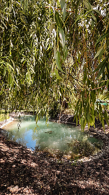 포토 JPG 해외이미지 나무 식물 공원 호수 컬러 잎 오렌지 자연 하늘 아침 파노라마 사람없음 야외 초록색 물 파란색 빛 강 컬러풀 햇빛 태양 뷰티 반사 노란색 환경 맑음 연못 신선 분위기 황금 숲 버드나무 장면 자작나무 내추럴 그리너리 해외202309 해외포토 주간 자연요소 공공시설 컨셉 과일 날씨 촬영기법 생태계 파일형식 트랜드컬러