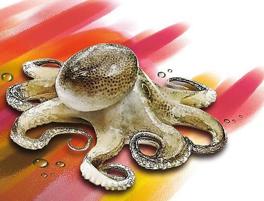 포토 JPG 해외이미지 개구리 양서류 사람없음 액체 두꺼비 해외202309 해외포토 동물 파일형식