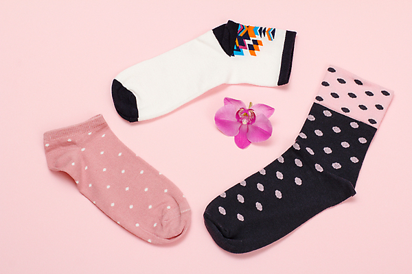 포토 JPG 해외이미지 꽃 분홍색 양말 사람없음 하이앵글 오브젝트 해외202309 해외포토 식물 뷰포인트 컬러 파일형식