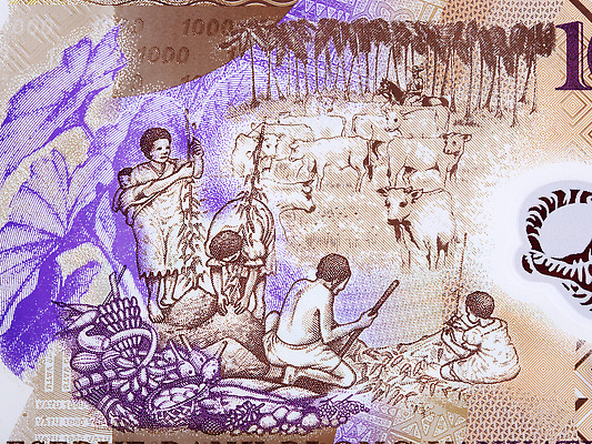 포토 JPG 해외이미지 지폐 돈 비즈니스 사람 사람없음 금융 경제 농작물 쪽지 4 소 농부 해외202309 해외포토 직업 농업 포유류 숫자 재산 파일형식