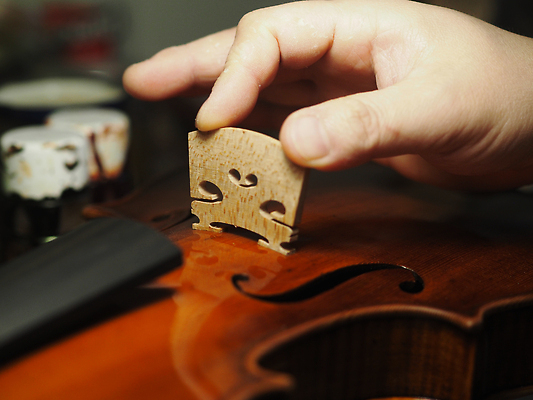 포토 JPG 해외이미지 직업 줄 음악 조각 단풍 비즈니스 기술 실내 미술 안전 사람 사람없음 목재 갈색 공구 잡기 끈 작업 클래식 수리 닫기 제조 상품 바이올린 만들기 위치 목공예 지역 고정 설정 공예가 비올라 설치 솜씨 해외202309 해외포토 나무 컬러 컨셉 잎 재료 모션 현악기 문화예술 내부 도구 공예 파일형식 찰현악기