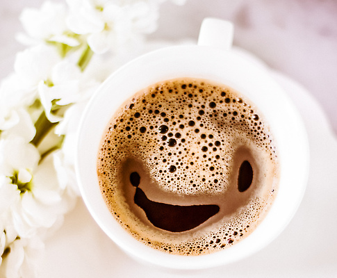 포토 JPG 해외이미지 꽃 여유 커피 휴식 사람없음 하이앵글 카페 분위기 커피잔 에스프레소 해외202309 해외포토 식물 감정 음료 뷰포인트 컨셉 잔 상점 파일형식