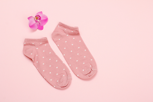 포토 JPG 해외이미지 꽃 분홍색 양말 사람없음 하이앵글 오브젝트 해외202309 해외포토 식물 뷰포인트 컬러 파일형식