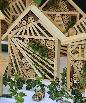 포토 JPG 해외이미지 나무 야생동물 나비 곤충 겨울 자연 호텔 주택 사람없음 목재 장식 초록색 여름 상자 우주 환경 정원 봄 다양 구멍 시장 벌레 둥지 보호 숲 벌 생태계 원예 개미 리빙 내추럴 공예가 생태학 헬프 호박벌 해외202309 해외포토 식물 동물 계절 교육 컬러 다수 컨셉 재료 숙소 취미 건물 도움 벌_곤충 파일형식