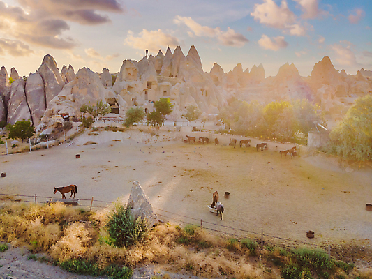 포토 JPG 해외이미지 나무 여행 하늘 사람없음 야외 일몰 말_동물 기암괴석 튀르키예 해외202309 해외포토 식물 아시아 포유류 노을 바위_돌 파일형식