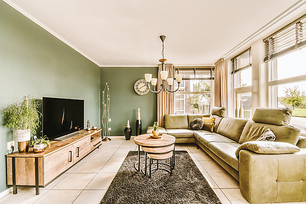 포토 JPG 해외이미지 식물 화분 시계 창문 사람없음 인테리어 소파 텔레비전 카펫 공간 방 블라인드 커튼 해외202309 해외포토 디자인 의자 전자제품 파일형식