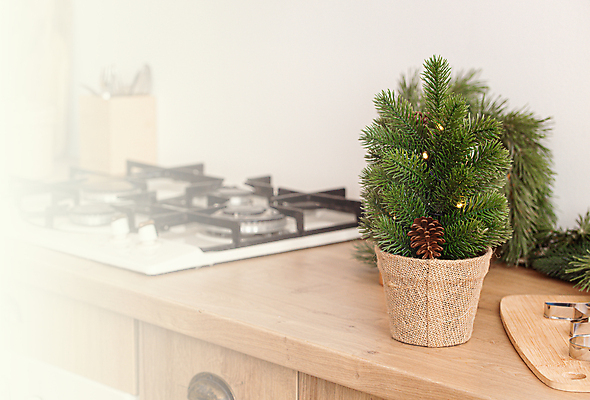 포토 JPG 해외이미지 나무 템플릿 배너 계절 벽 백그라운드 크리스마스 겨울 가족 탁자 휴가 새해 아파트 주택 실내 요리 사람없음 내부 목재 장식 쿠키 주방 축제 저녁식사 화환 공백 방 흰색 공구 축하 오븐 12월 난로 굽기 계산대 밀대 곰팡이 스칸디나비아 커터 카피스페이스 해외202309 해외포토 식물 기념일 꽃 컬러 가구 컨셉 재료 관계 주방용품 디저트 건물 식사 가전제품 도구 날짜 난방기 구이 파일형식