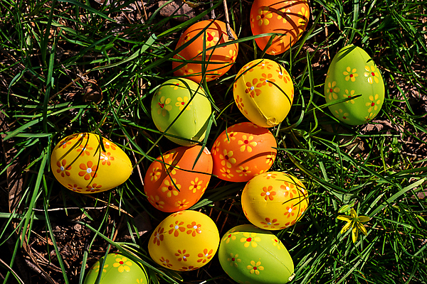 포토 JPG 해외이미지 전통 계절 꽃 컬러 백그라운드 자연 휴가 부활절 사람없음 장식 초록색 컬러풀 노란색 계란 봄 흰색 축하 신선 그리기 심볼 사냥 해외202309 해외포토 식물 기념일 컨셉 모션 알 생태계 파일형식