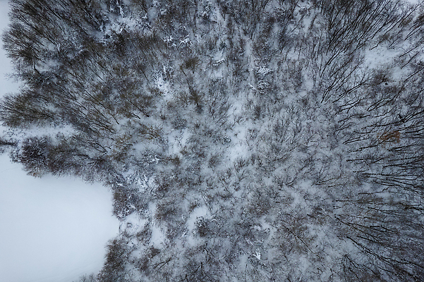 포토 JPG 해외이미지 외관 유럽 도로 조각 여행 모션 자연 하늘 아침 날씨 스키 사람없음 목재 가로 마을 일출 맑음 얼음 이탈리아 트래킹 안개 흰색 시골 그룹 정상 저녁 시원함 고도 질감 장면 지구온난화 상록수 전나무 기후변화 드론 방법 눈내림 해외202309 해외포토 주간 자연요소 나무 나라 길 컬러 재료 교통시설 레저 겨울스포츠 눈_날씨 노을 변화 야간 생태계 파일형식