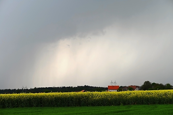 포토 JPG 해외이미지 계절 컬러 백그라운드 패턴 창문 자연 유리 표면 날씨 추상 휴식 사람없음 초록색 물 파란색 빛 반사 환경 봄 활발 거품 젖음 흐름 물방울 신선 투명 액체 떨어짐 매끈함 빗방울 순수 묘사 질감 폭풍 내추럴 샤워실 현실 해외202309 해외포토 자연요소 컨셉 무늬 재질 감각 비_날씨 생태계 샤워시설 파일형식