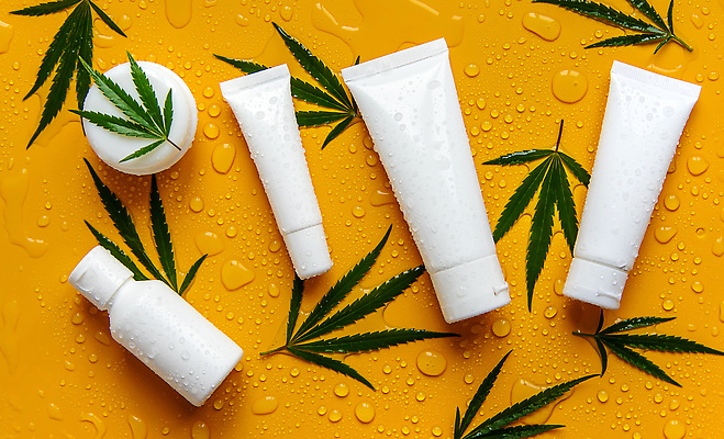 포토 JPG 해외이미지 백그라운드 잎 자연 사람없음 아웃포커스 주황색 화장품 신선 수분 내추럴 해외202309 해외포토 식물 컬러 촬영기법 뷰티 생태계 파일형식